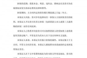 开发公司连带担保责任 