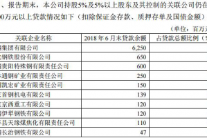 银行贷款公司大股东责任 