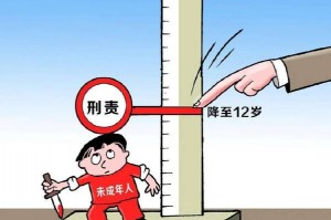 犯法包括什么责任 