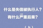 被执行人的后果被执行人的后果