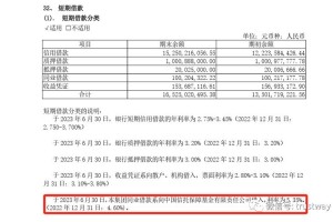 有限责任公司欠债 资本金 