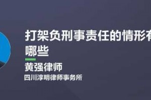 如果打架会负什么刑事责任 