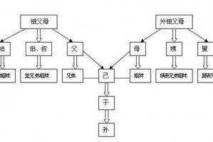 直系还有什么系 