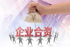 全资子公司承担的法律责任 