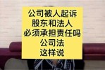 控股与法人谁承担责任 