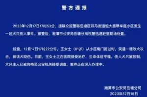 经侦口头异地传唤不去有什么后果经侦传唤未去的后果是什么