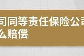 同等责任一方无保险 