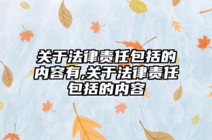 积极意义的法律责任 