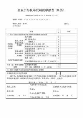 有限责任公司的申报税务 