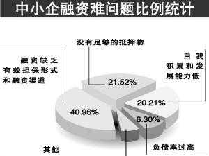 什么叫融资主体 