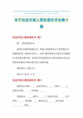 授权委托人承担法律责任 