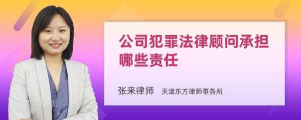 公司长期违法法律顾问责任 