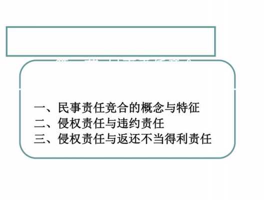 民事责任竞合与聚合的特征 