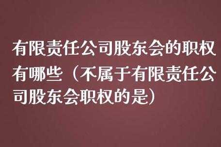 有限责任公司股东以外的人 