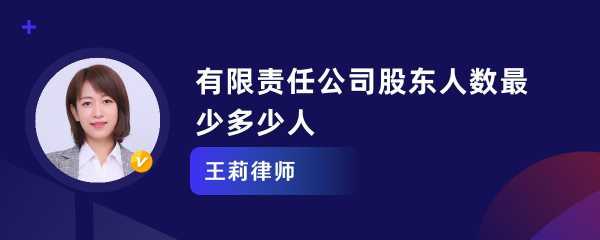 有限责任公司股东以外的人 