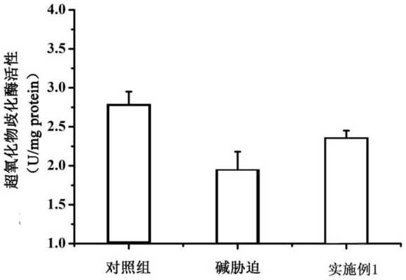 什么是胁迫处理 