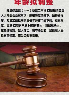 8种负刑事责任的罪行 