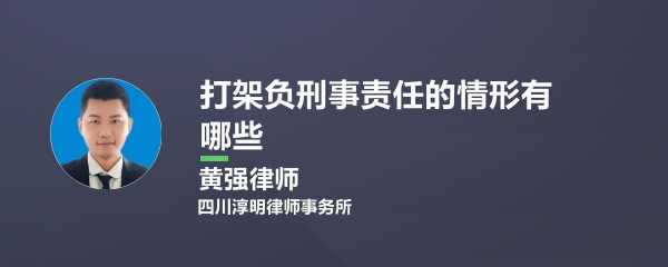 如果打架会负什么刑事责任 