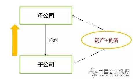 全资子公司承担的法律责任 