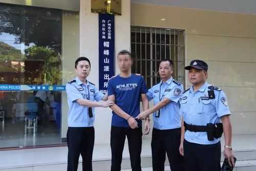 逮捕意味什么了 