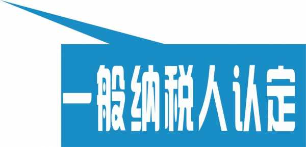 一般纳税人法人责任 