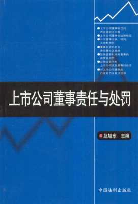 有限公司董事需承担的责任 